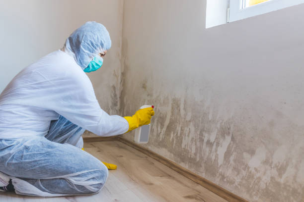 Black mold inspection in Middlesex