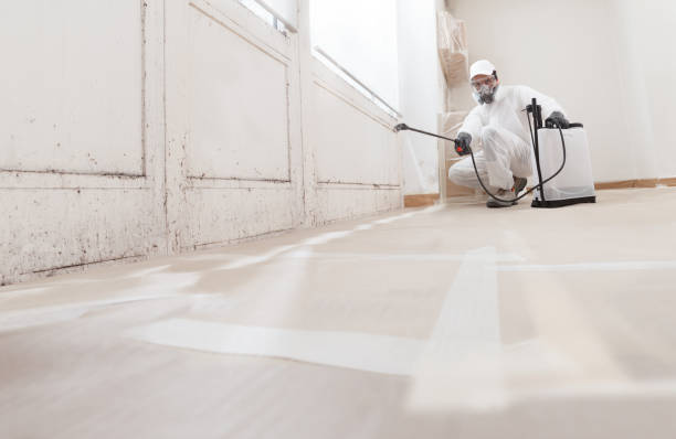 Black mold remediation team in Middlesex