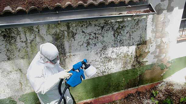 Mold Remediation service in Middlesex, Middlesex, NC